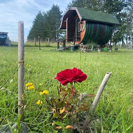 Ninin Vajat Luxury tent Valjevo